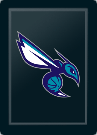 Charlotte Hornets Secondary