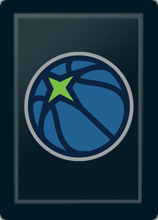 Minnesota Timberwolves Logo Panel