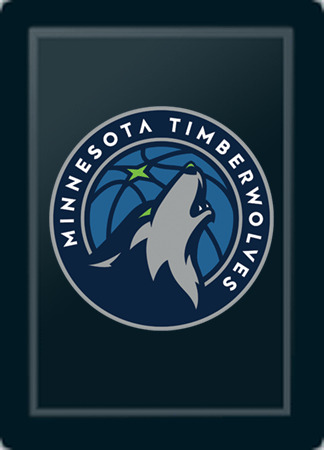 Minnesota Timberwolves Primary Logo Panel