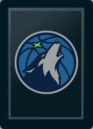 Minnesota Timberwolves Secondary Logo Panel