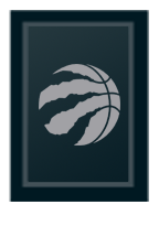 Toronto Raptors Primary Silver