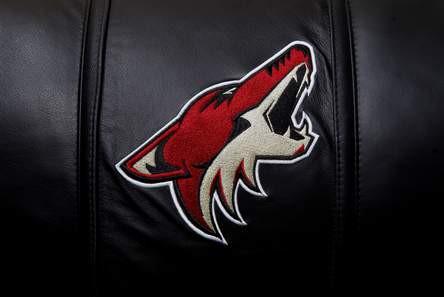 Arizona Coyotes