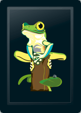 Tree Frog