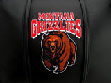 Montana Grizzlies