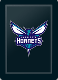 Silver Sofa with Charlotte Hornets Primary