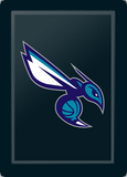 Silver Sofa with Charlotte Hornets Secondary